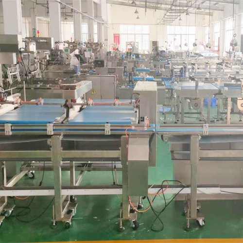 Automatic-Material Flow Packing Machine Workshop