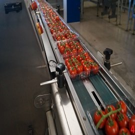 Fruit and Vegetable Packing Line
