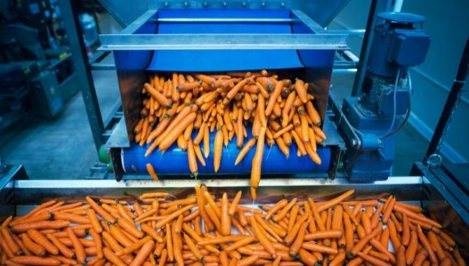 Vegetable Packing Line: How Your Business Benefit