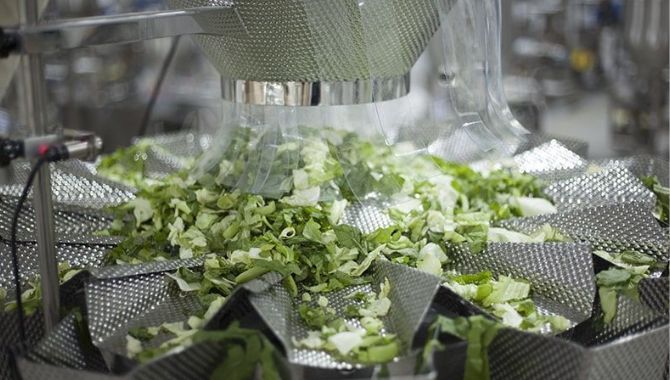 Characteristic of Salad Packaging Machine