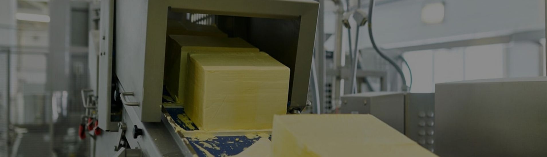 Cheese Wrapping Machine Supplier