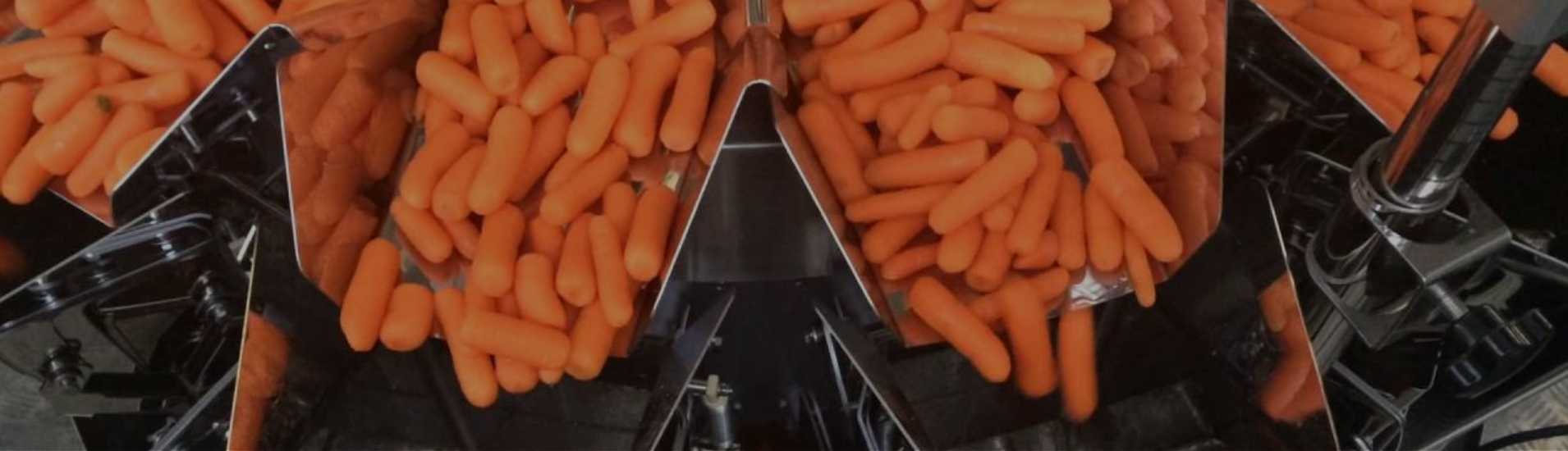 Outstanding Carrot Packing Machine Supplier in China