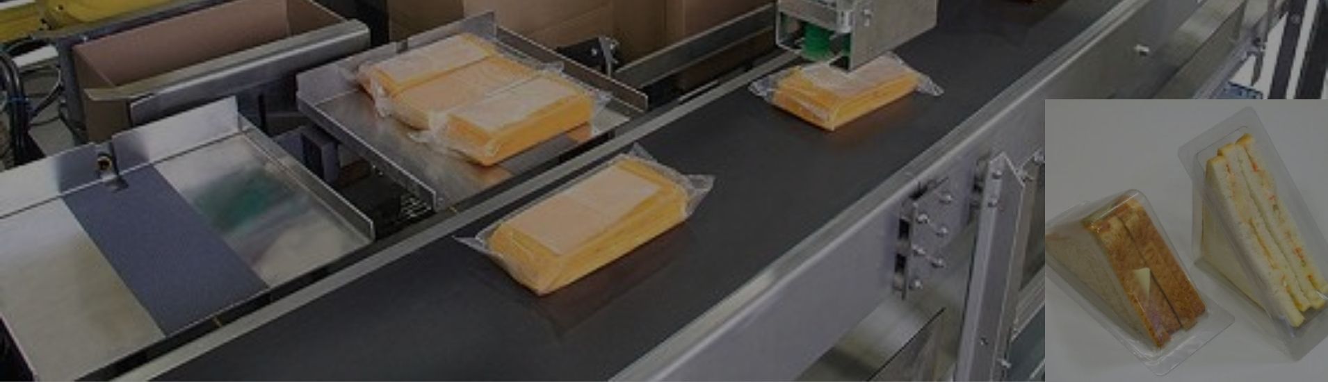 Reliable Sandwich Packaging Machine Supplier in China