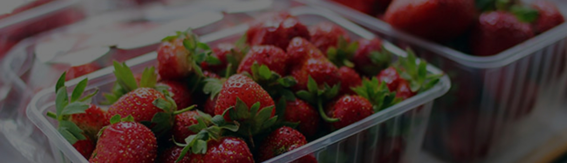 Strawberry Packing Machine Supplier