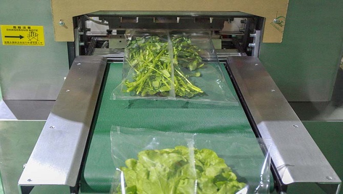 Vegetable Packing Machine