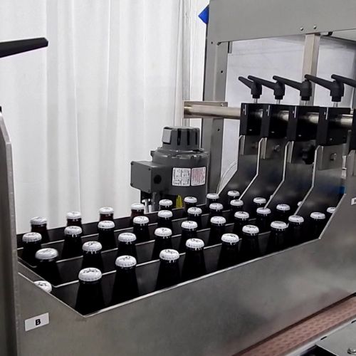 Wraparound Case Packer for Beer Bottles