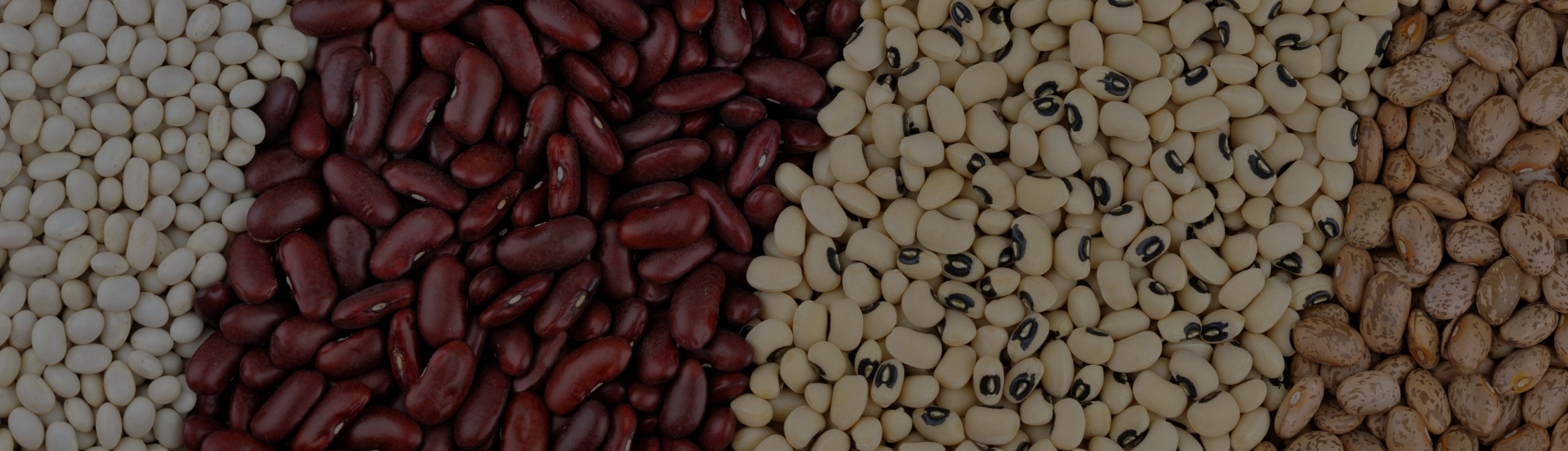 Beans Packaging Machine