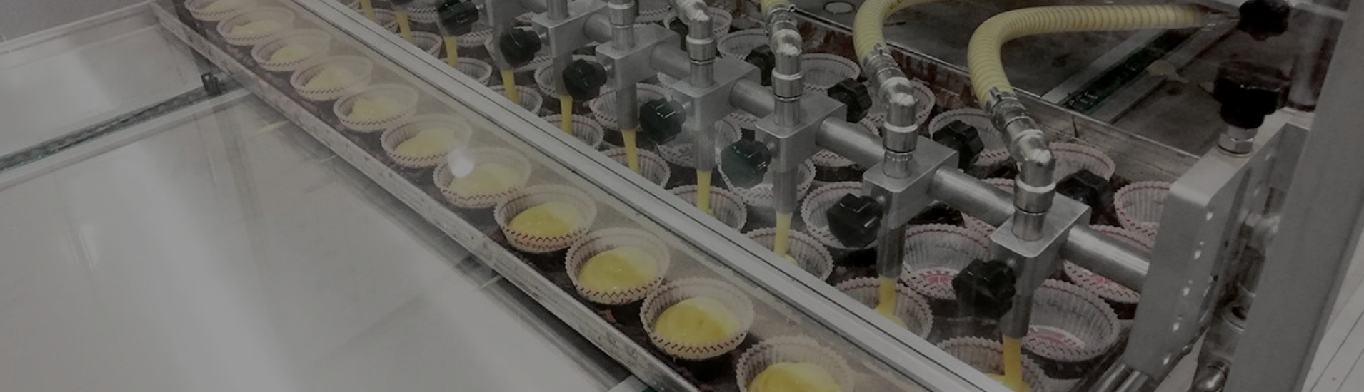 Cup Cake Packaging Machine