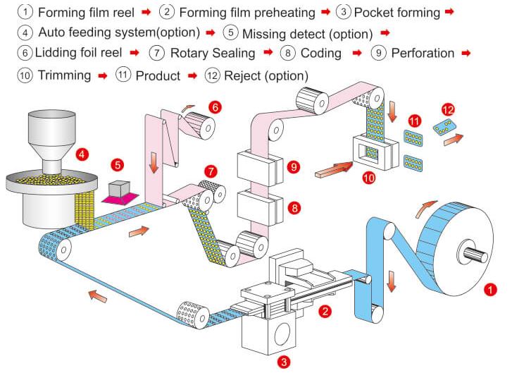 thermoforming blister packing machine flow chart