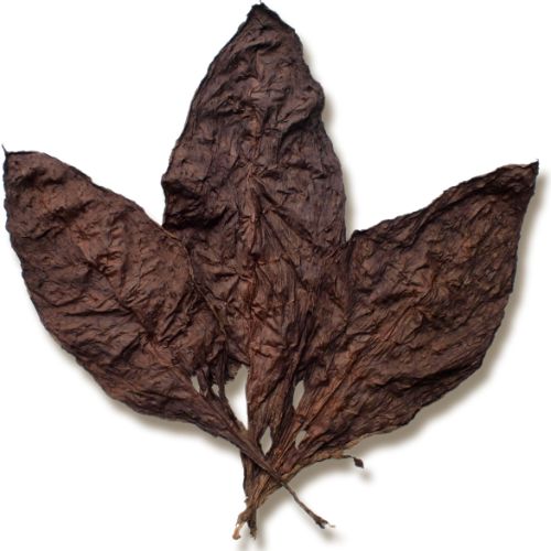 Dark Tobacco Leaves