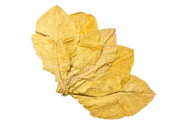 Shisha Tobacco Leaf