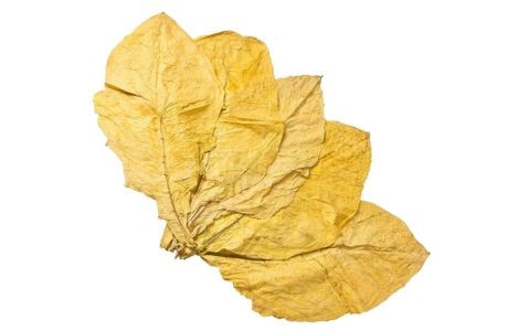 Shisha Tobacco Leaves