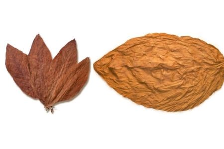 Shisha Tobacco Leaf
